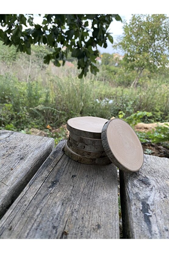 Doğal Ahşap Odun Dilimi Çatlamaya,kabuk Atmaya Dayanıklı Bardak Altlığı,6 Adet
