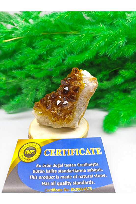 SİTRİN DOĞAL TAŞ STANDLI (SERTİFİKALI)(160 GRAM)