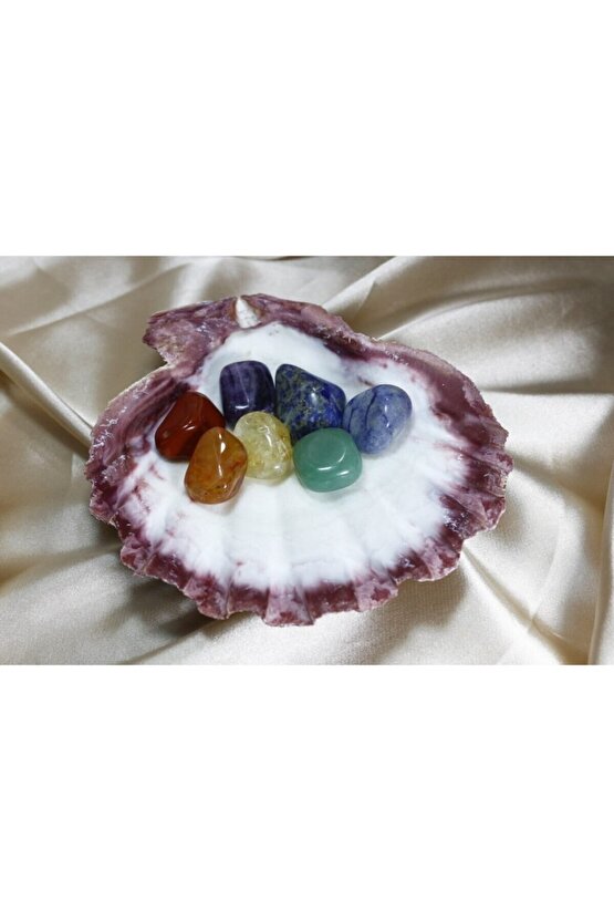 Doğal Istiridye Deniz Kabuğu Ve Işlenmemiş Doğal Çakra Taşları