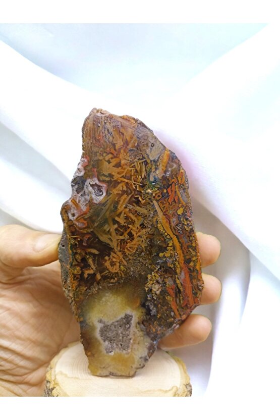 DİKENLİ FOSİL AKİK, DOĞAL TAŞ, DEKORASYON STANDLI PARÇA(SERTİFİKALI)