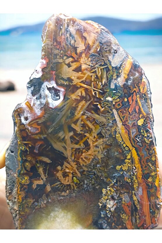 DİKENLİ FOSİL AKİK, DOĞAL TAŞ, DEKORASYON STANDLI PARÇA(SERTİFİKALI)