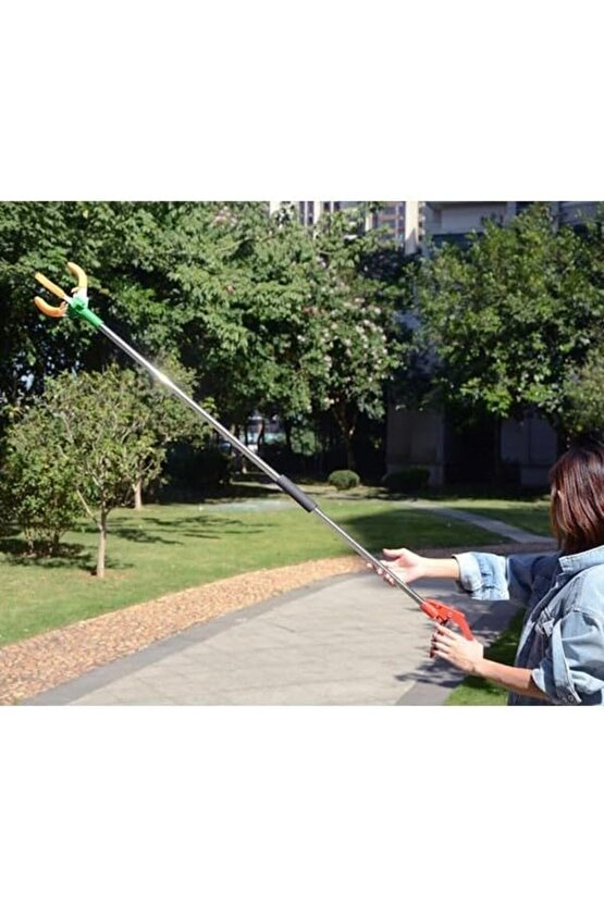 Dal Meyve Toplama Aleti, Hasat Toplama Aparatı, 150 cm