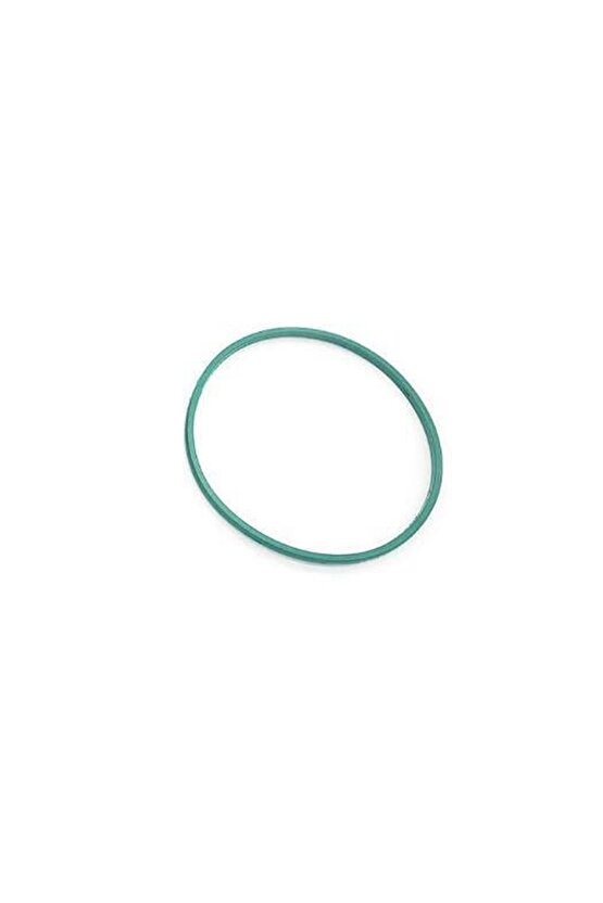 FIAT 500,Doblo,Ducato için Yakıt Pompası Halkası ve Contası