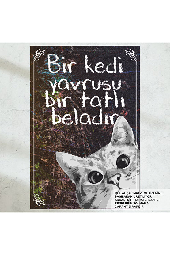sevimli yavru kedi ev dekorasyon tablo retro ahşap poster