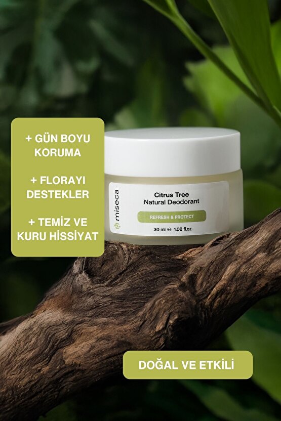 Citrus Tree Doğal Krem Deodorant 30 ml | Limon Portakal Mür