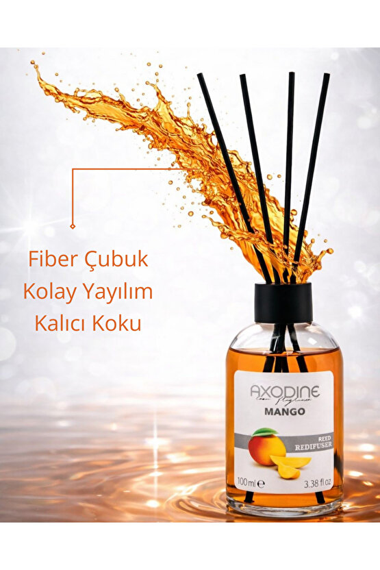 Mango Bambu Çubuklu Dekoratif Oda Kokusu 100 ML