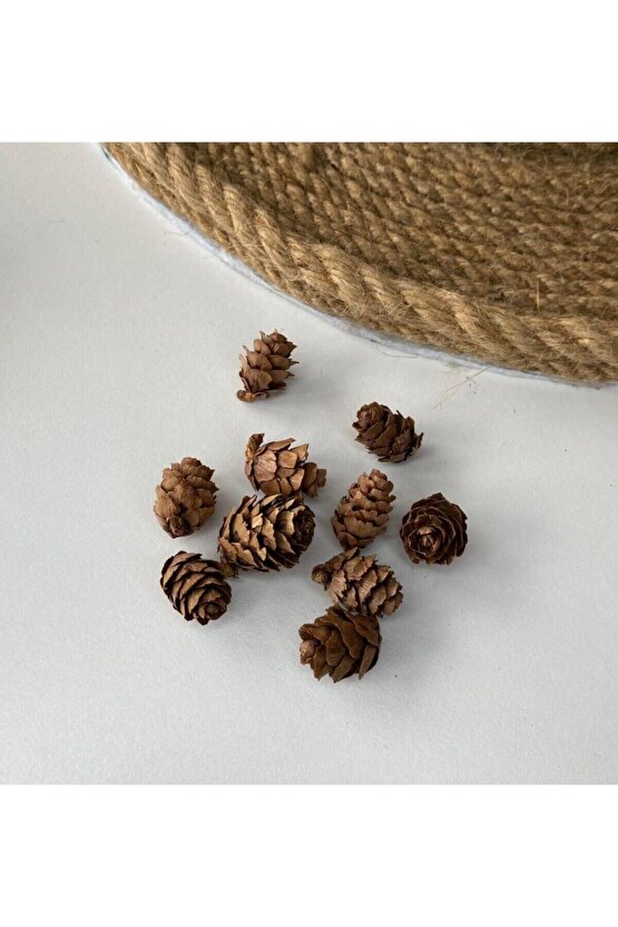 50 Adet Mini Kozalak Yılbaşı Sofra Çam Ağacı Süsü Kapı Süsü