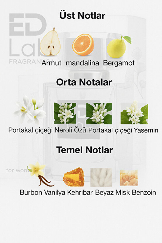 Fragrance EDLW140 Kadın Parfüm 50 ml