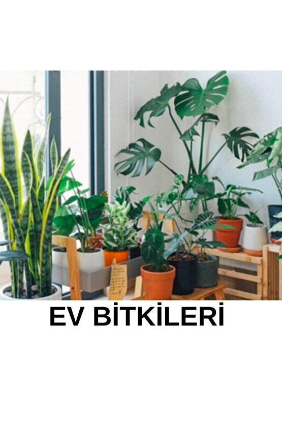 Güçlü Yeşil Yüksek Kalite Sağlam Büyüme Desteği 500 ml Yeşil Yapraklı Bitkiler Besini