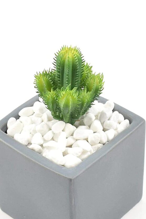 Beyaz Dolomit Taş 1 Kg 1,5-2,5 Cm Dere Çakıl Taşı Bahçe Süs Taşı Saksı Teraryum Taşı