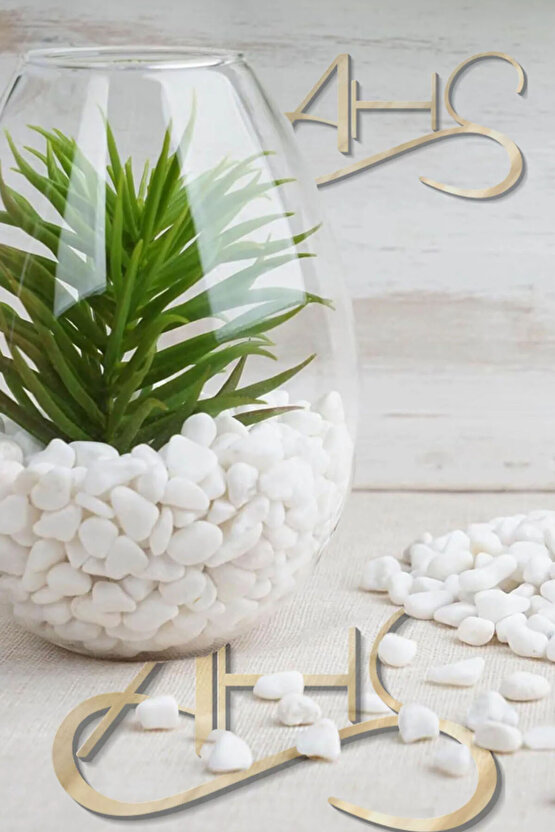 Beyaz Dolomit Taş 2 Kg 1,5-2,5 Cm Dere Çakıl Taşı Bahçe Süs Taşı Saksı Teraryum Taşı