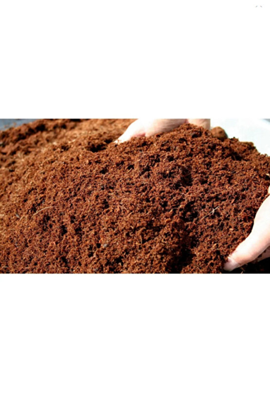 5 Lt Cocopeat Torf Hindistan Cevizi Kabuğu Torfu