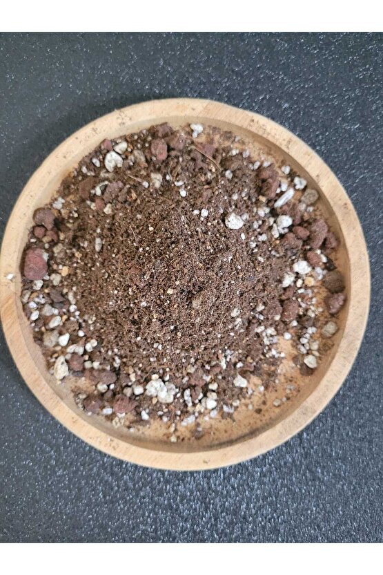 Kaktüs Sukulent Toprağı 5 Litre- Yüksek Kalite, İthal Torf Karışımlı