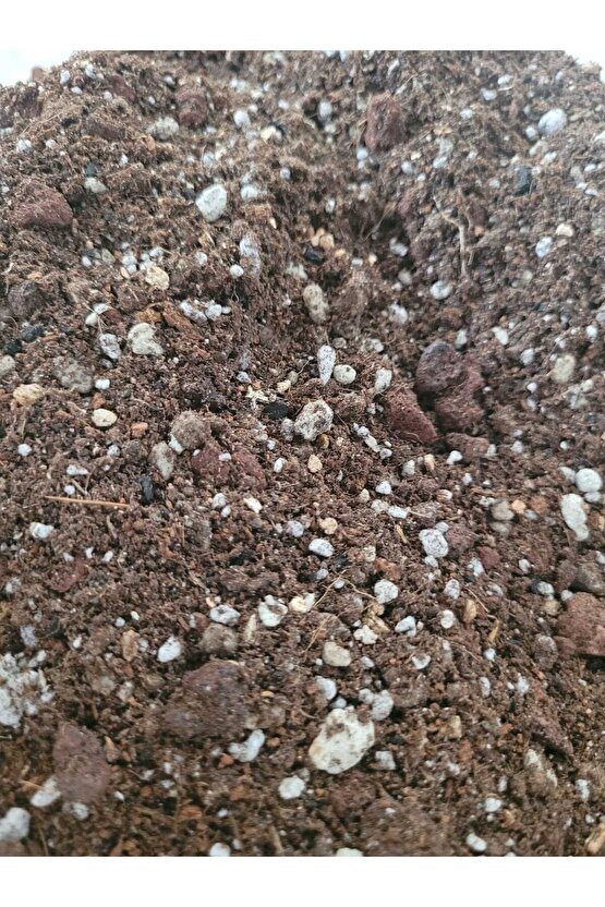 Kaktüs Sukulent Toprağı 5 Litre- Yüksek Kalite, İthal Torf Karışımlı