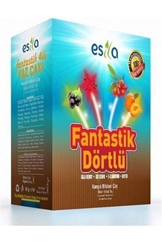 Fantastik Dörtlü Yaz Çayı 45 Poşet