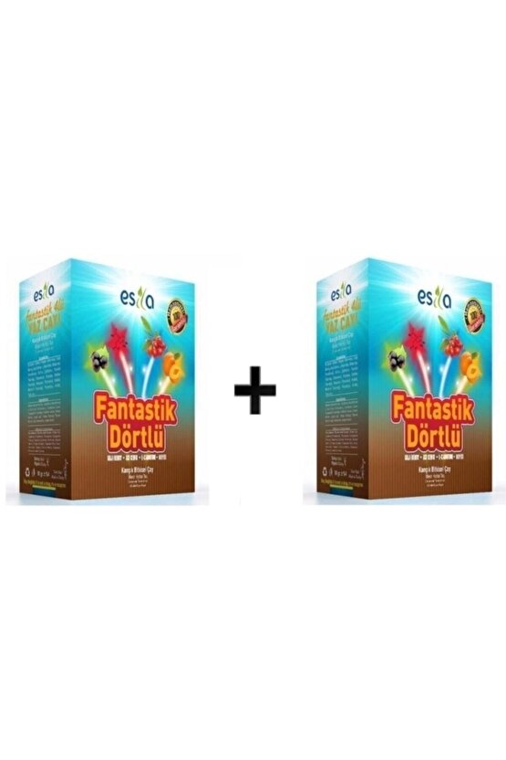 Fantastik Dörtlü Bitki Çayı 45 Süzen Poşet 2 Adet