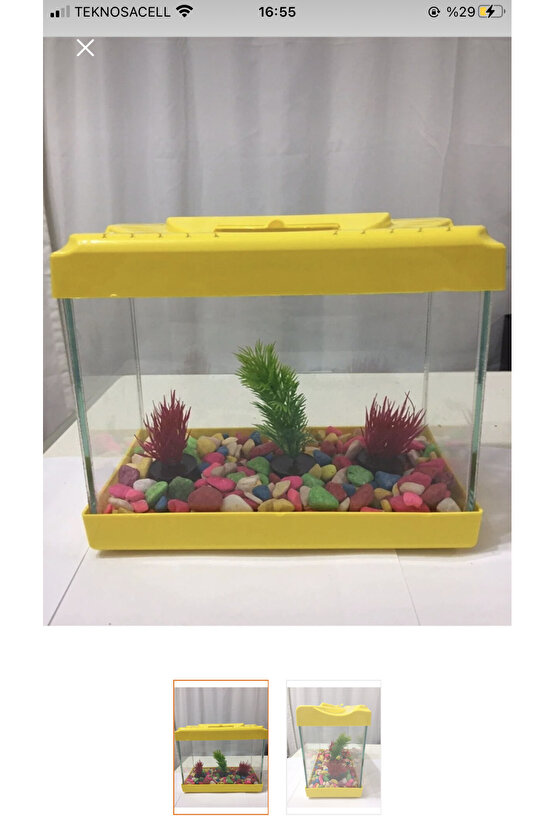 20cm 4 litre akvaryum balık alanı