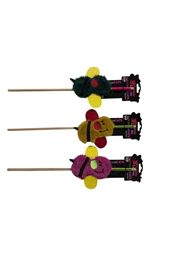 OLTA ARI (HIŞIRTILI,ÇINGIRAKLI ,MATATABİ Lİ,MUHTEŞEM KUMAŞLI KEDİ OLTASI)