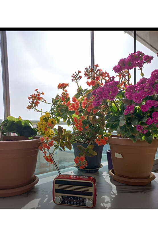 Nostaljik Bluetoothlu Retro Sunumluk Taşınabilir Radyo Müzik Kutusu