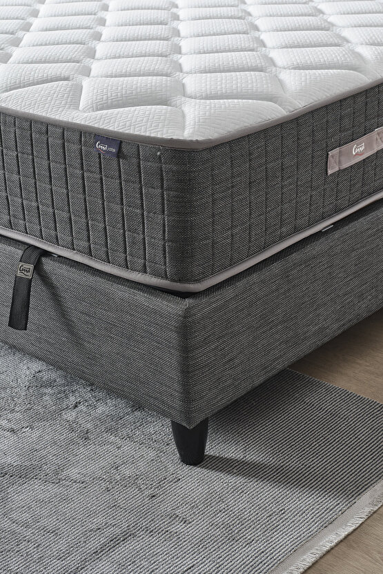 Mimoza Modeli Çift Kişilik Full Ortopedik Yataklı Sandıklı Baza ve Başlık Takımı 3 lü Set