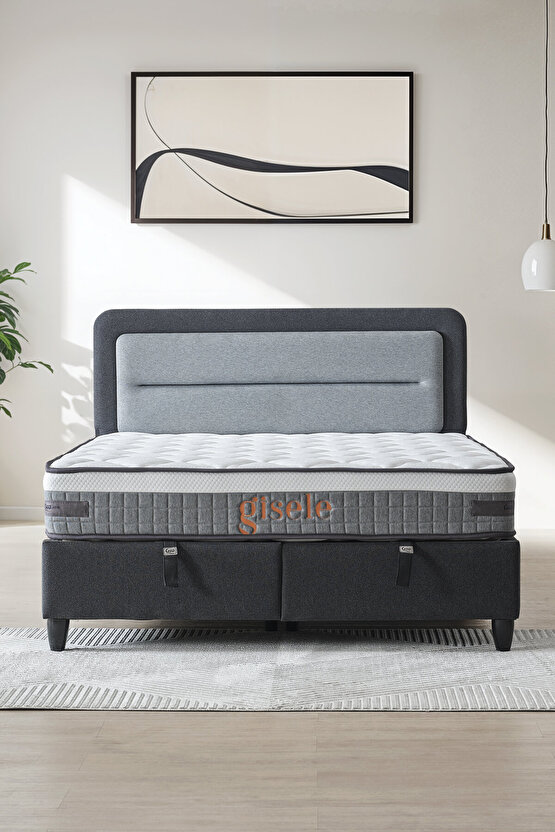 Gisele Modeli Full Ortopedik Çift Kişilik Pedli Yataklı Baza ve Başlık Takımı 3 lü Set