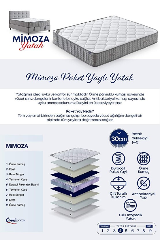 Mimoza Modeli Tek Kişilik Full Ortopedik Antibakteriyel Yataklı Baza ve Başlık Takımı 3 lü Set