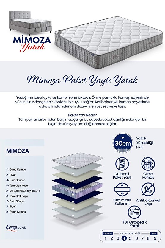 Mimoza Modeli Tek Kişilik Full Ortopedik Antibakteriyel Yataklı Baza ve Başlık Takımı 3 lü Set