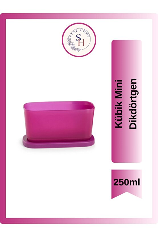 Mini Kübik Dikdörtgen 250ml