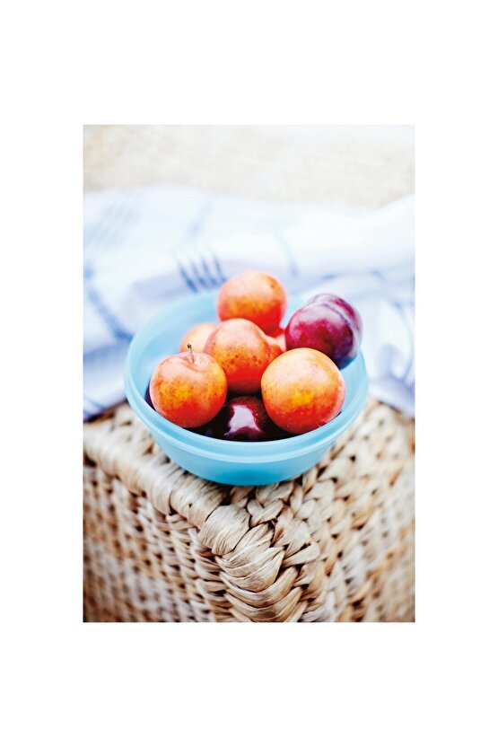 Saklama ve Servis Kabı 4lü Set 300 ml