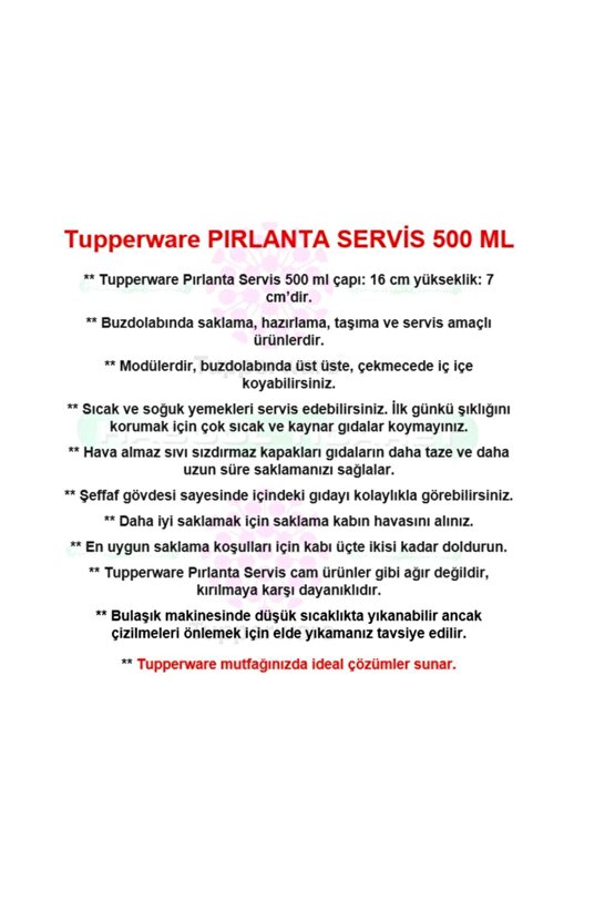 Pırlanta Servis 2li 500 Ml Saklama Kabı Hsgl