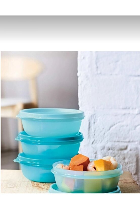 Saklama ve Servis Kabı 4lü Set 300 mL