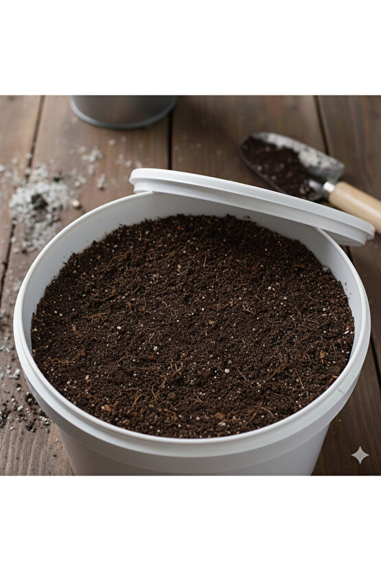 4 Adet Kovada Kültür Mantarı Deneme Hobi Kiti