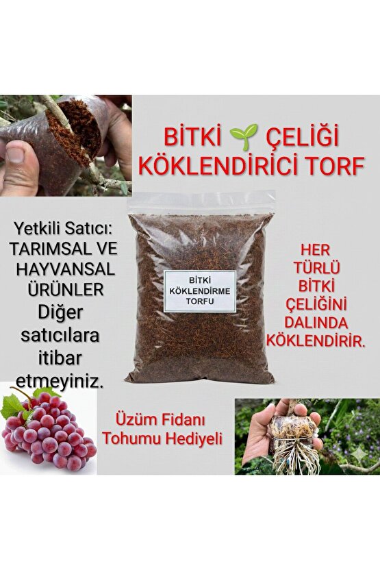 Bitki Çelik Köklendirici Özel Torf