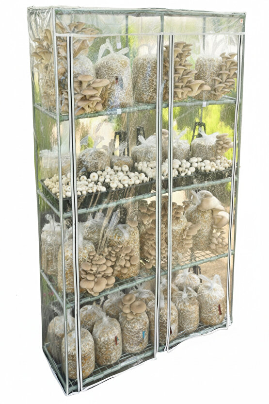 Mantar Yetiştirme Çadırı