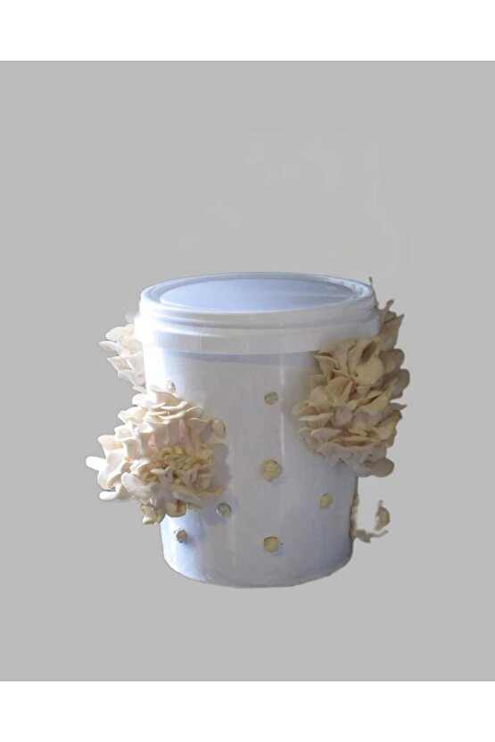 Mantar Tohumu Ekili Kova