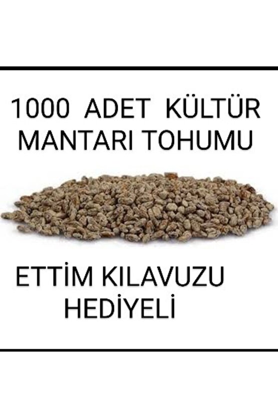 1000 Adet Kültür Mantarı Tohumu