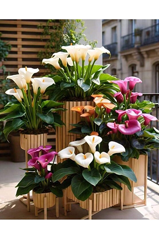 13 LİTRE ÖZEL TORF