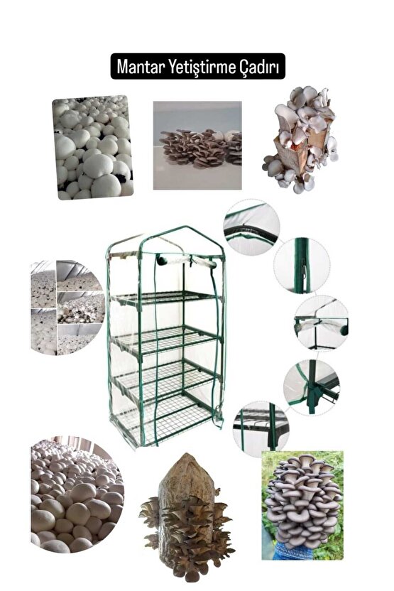 Portatif Katlı Mantar Yetiştirme Çadırı