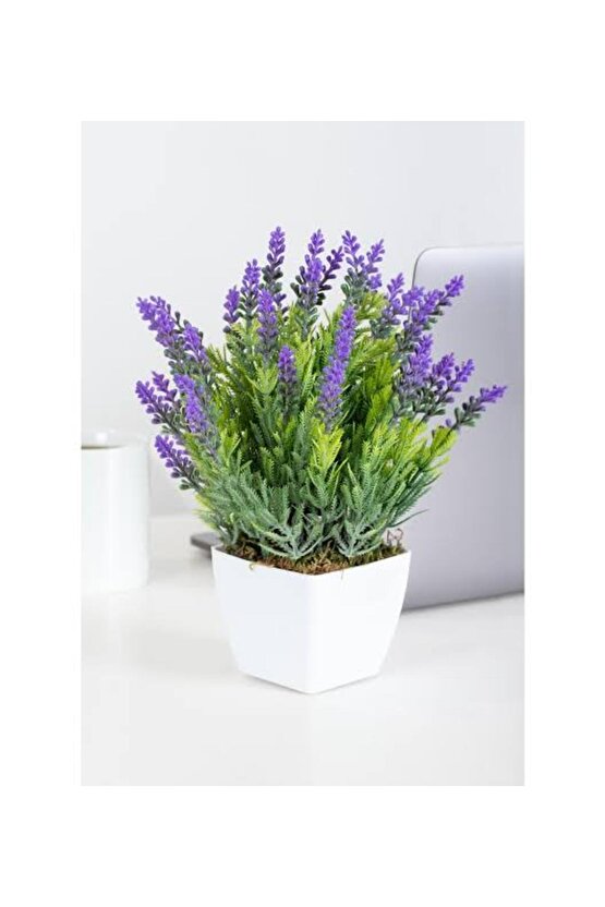 13 Litre Lavanta Çiçeği Ekim ve Bakım Torfu