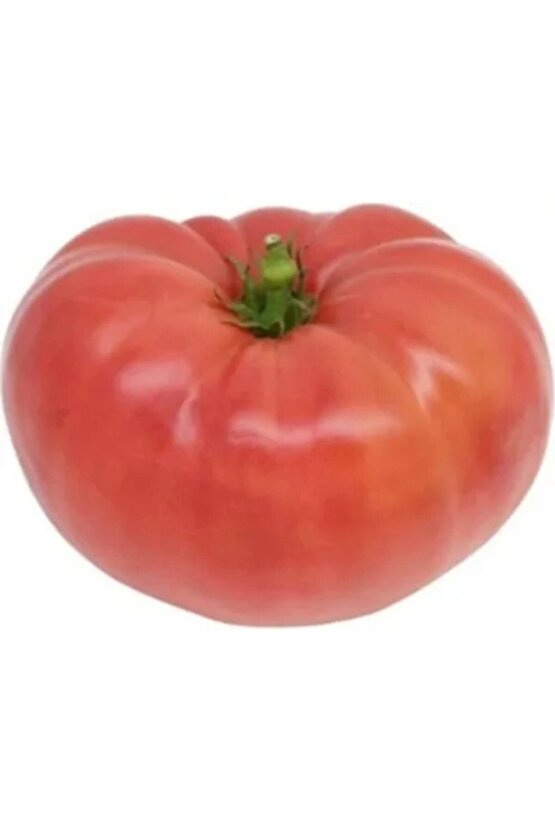 25 Adet Karışık Cinste Domates Tohumu