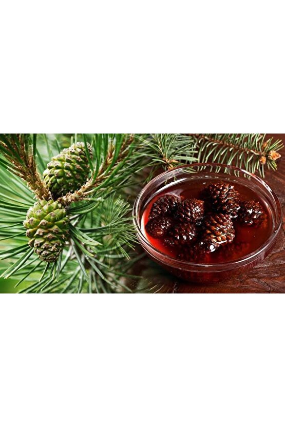 Çam Kozalak Pekmez Yapma Toprağı