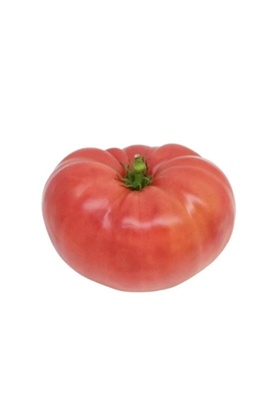 5000 Adet Köylü Domatesi Tohumu