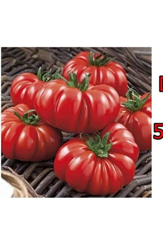 500 Adet Köylü Domatesi Tohumu