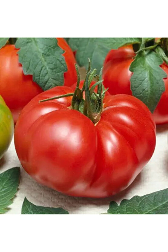 25 Adet Köylü Domatesi Tohumu