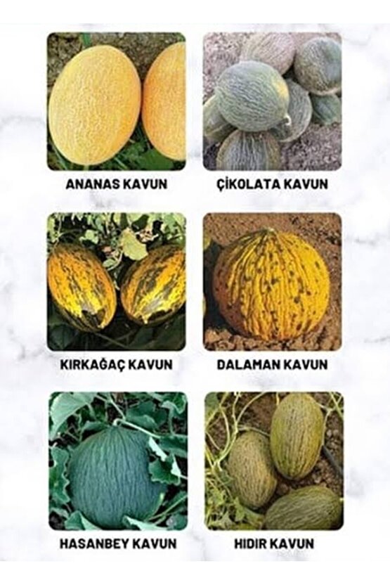 10 Adet Karışık Kavun Tohumu