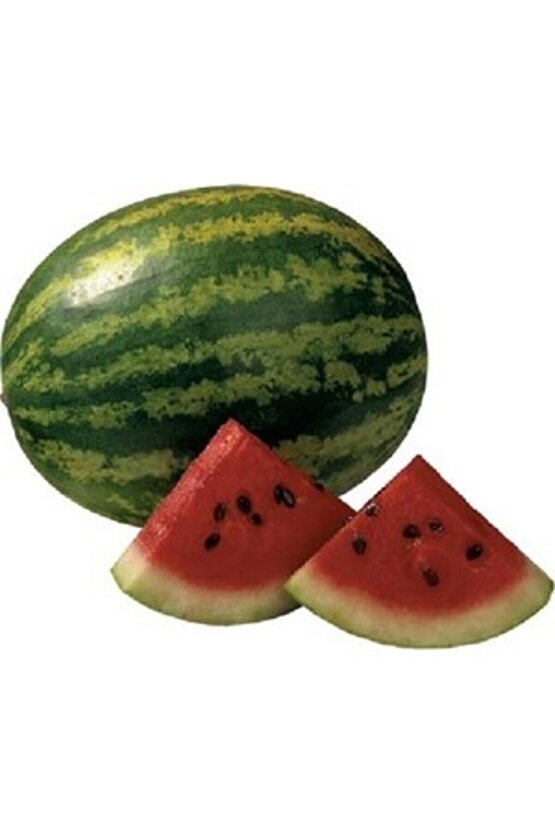600 Adet Köylü Karpuzu Ata Tohumu