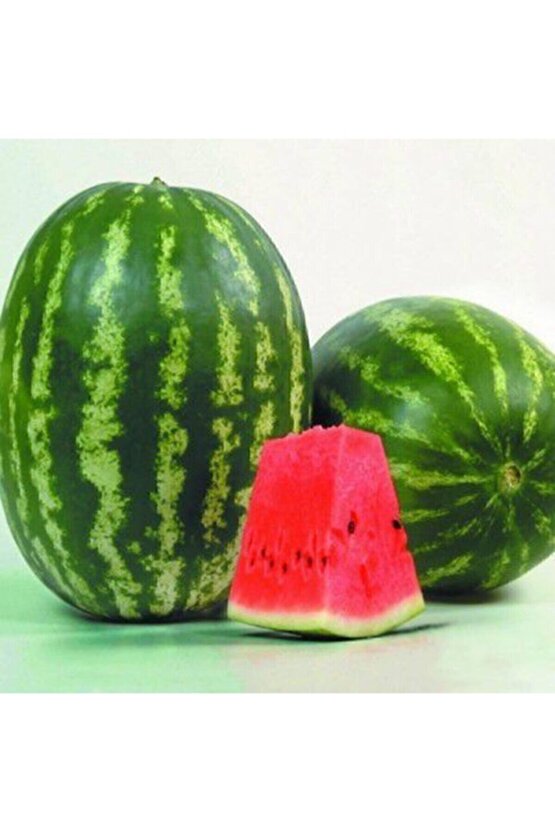 Tohumculuk Karpuz Tohumu 20 Adet Organik Karpuz Tohumu