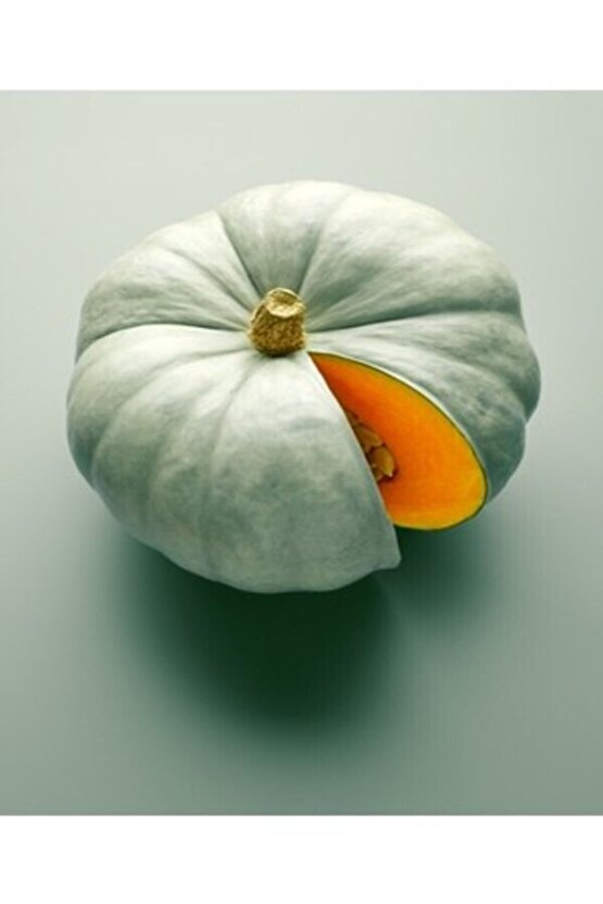 1 Adet Dev Kestane Bal Kabağı Tohumu