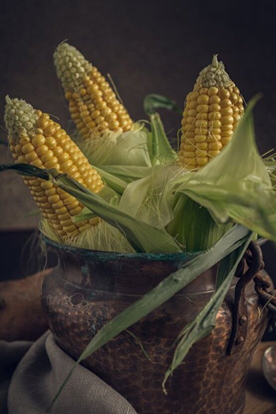 Mısır Tohumu 100 Adet