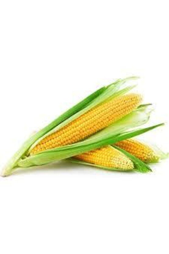 30 Adet Tohum Eko Paket Süt Mısırsüt Mısır Tohumu Darı Tohumu Mısır Tohumu Sürpriz Hediye Tohumlu